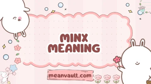 minx meaning