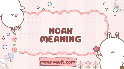 noah meaning