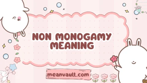non monogamy meaning