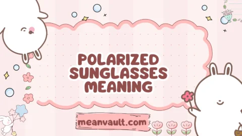 polarized sunglasses meaning