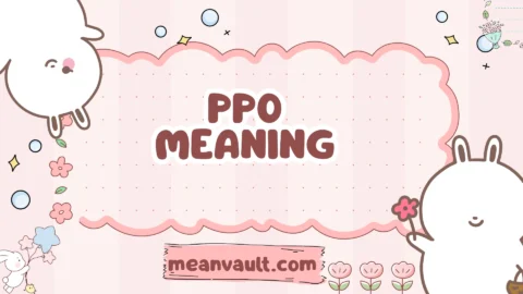 ppo meaning