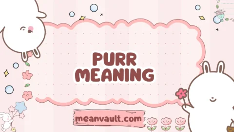 purr meaning