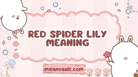 red spider lily meaning