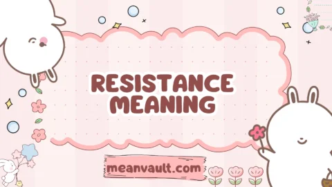 resistance meaning