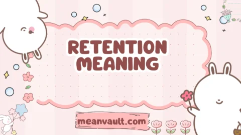 retention meaning