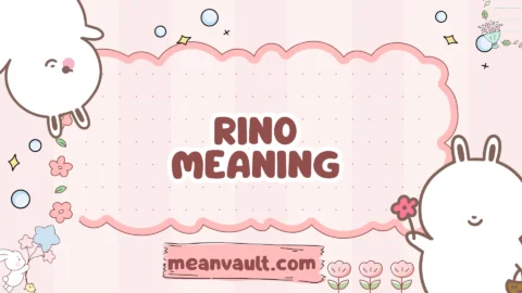 rino meaning