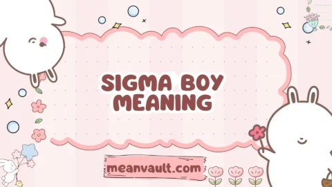 sigma boy meaning