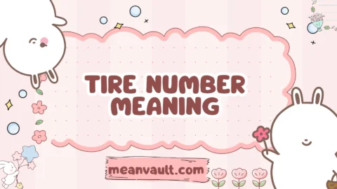 tire number meaning