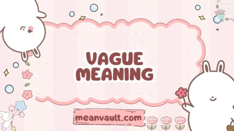 vague meaning