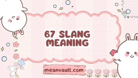 67 slang meaning