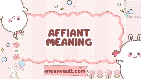 affiant meaning