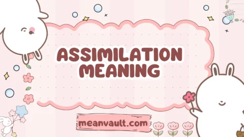 assimilation meaning