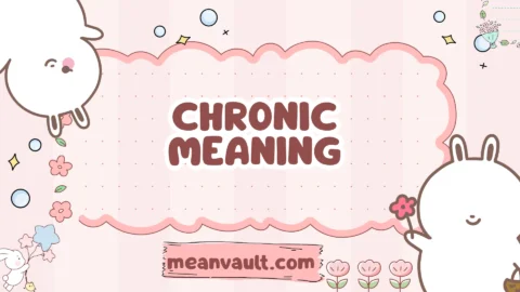 chronic meaning