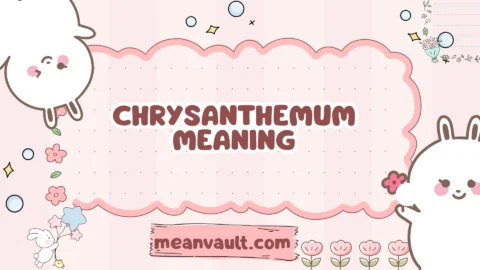 chrysanthemum meaning