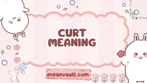 curt meaning