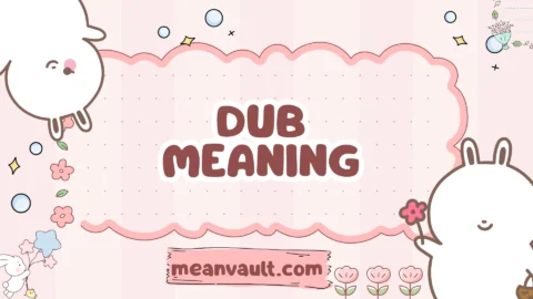 dub meaning