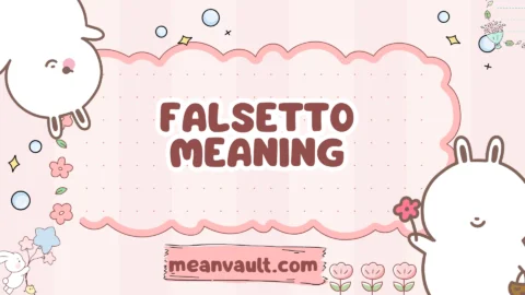 falsetto meaning