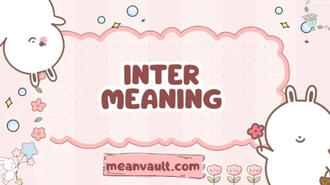 inter meaning