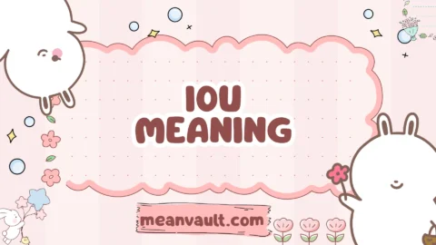 iou meaning