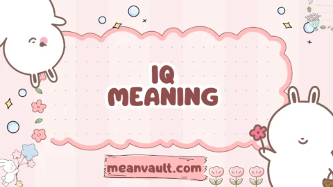 iq meaning