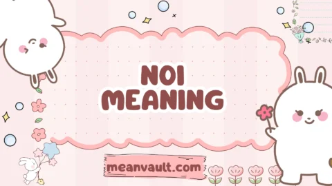 noi meaning