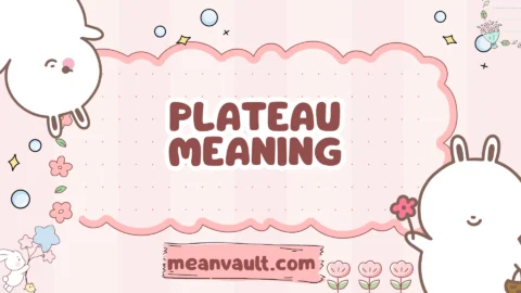 plateau meaning