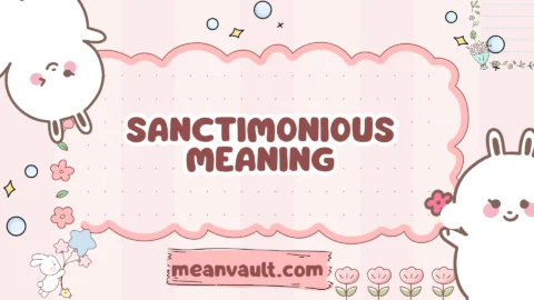 sanctimonious meaning