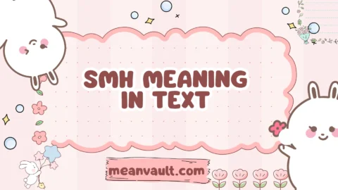 smh meaning in text