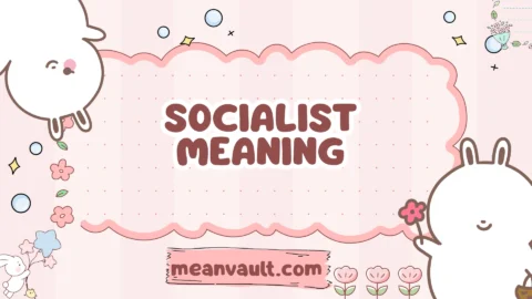 socialist meaning