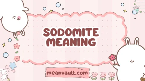 sodomite meaning