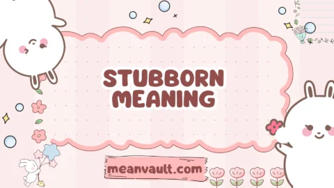 stubborn meaning