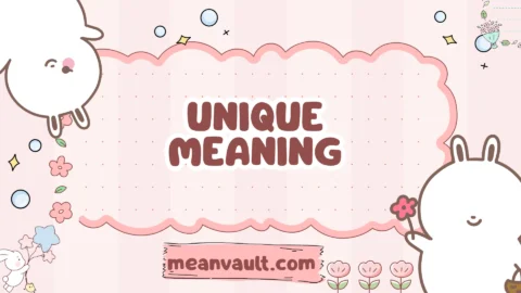 unique meaning
