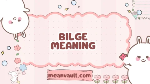 bilge meaning