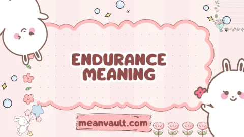 endurance meaning