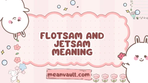 flotsam and jetsam meaning