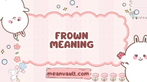 frown meaning