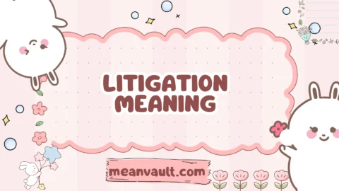 litigation meaning