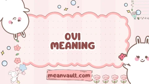 ovi meaning