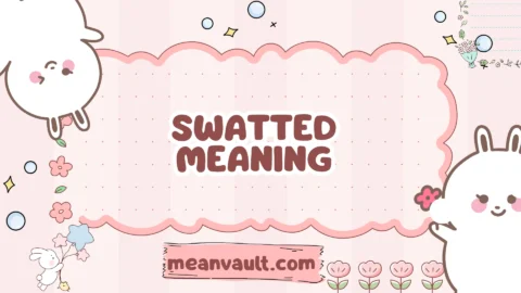 swatted meaning